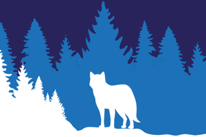 La scuola dei lupi cattivi