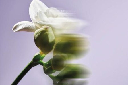 Manuale EMDR in Psiconcologia