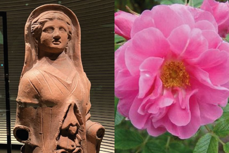 Oltre la medicina patriarcale: conoscenze femminili e pratiche di cura presso gli Etruschi