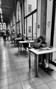Notizie fresche