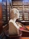 Visti di profilo: il profilo della Biblioteca