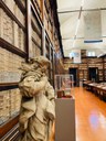 Le sculture in biblioteca