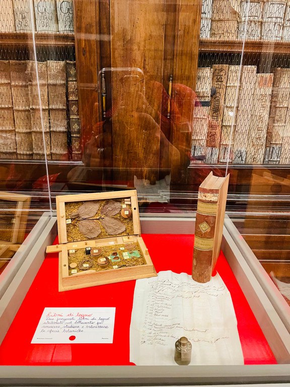 Libri di legno