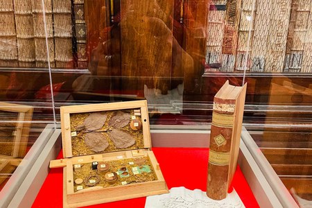 Libri di legno