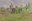 La via Francigena Project