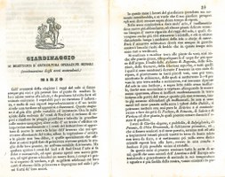 Almanacchi_002.jpg Almanacchi_002.jpg