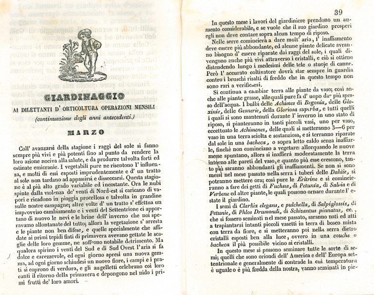 Almanacchi_002.jpg