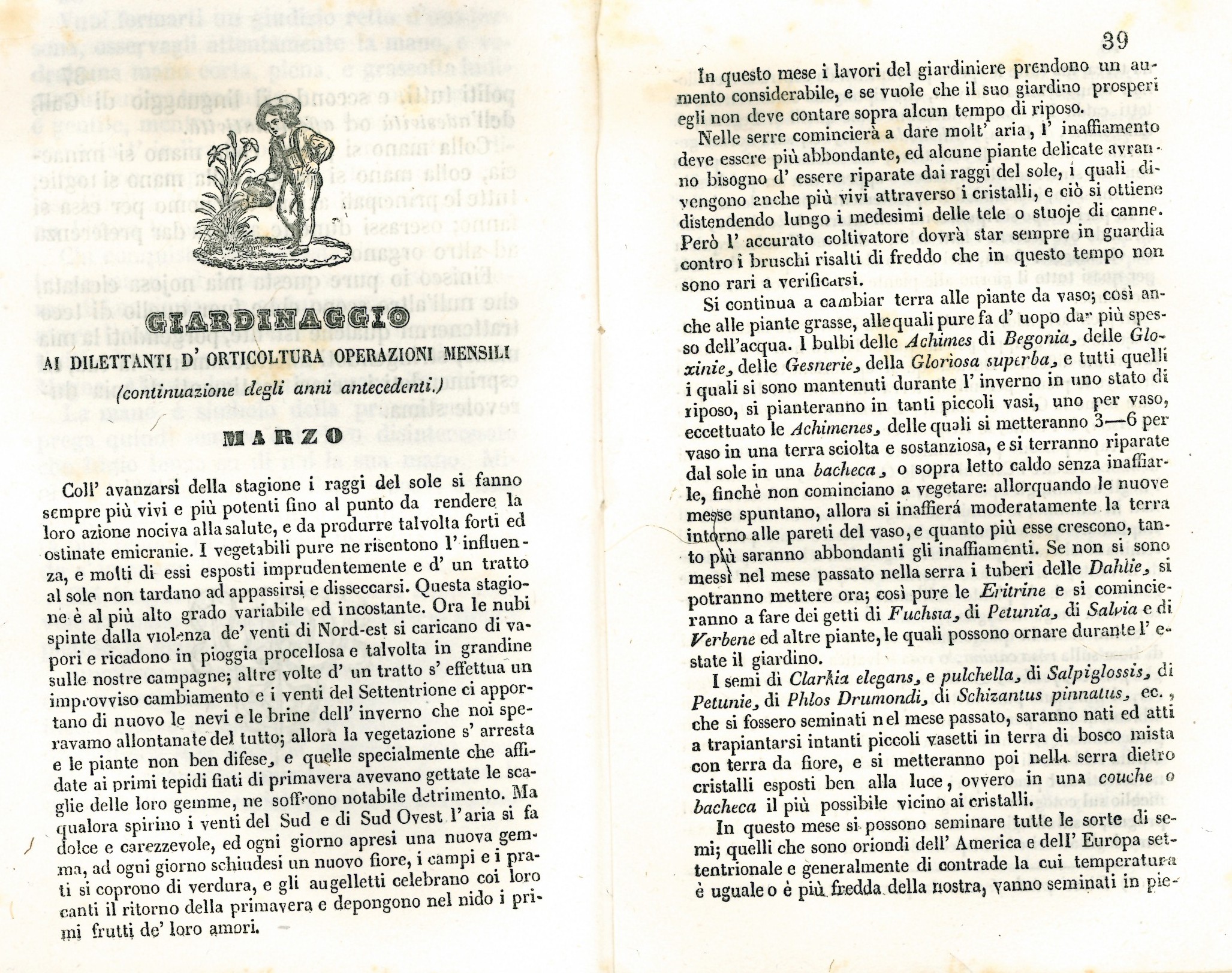Almanacchi_002.jpg