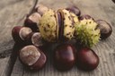 castagne.jpg