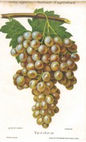 Foto 02.jpg