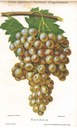 Foto 02.jpg
