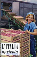 Italia Agricola 19.jpg