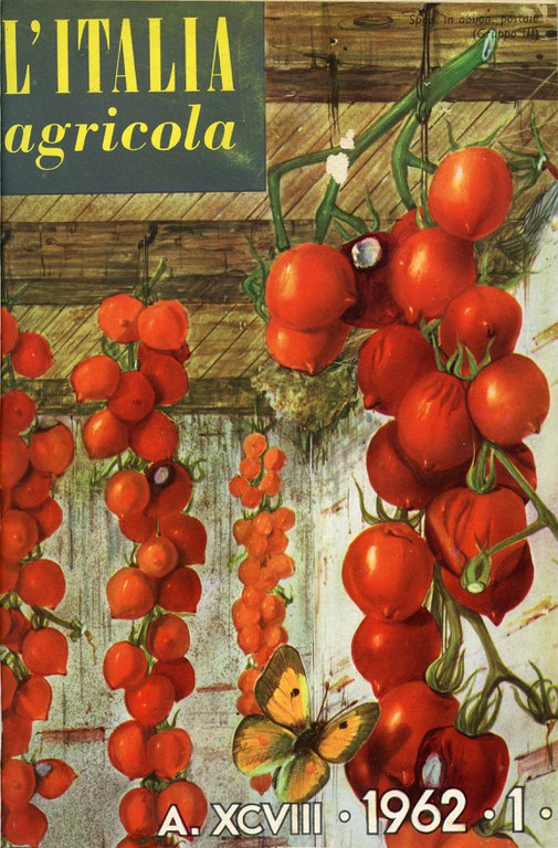 Italia Agricola 21.jpg