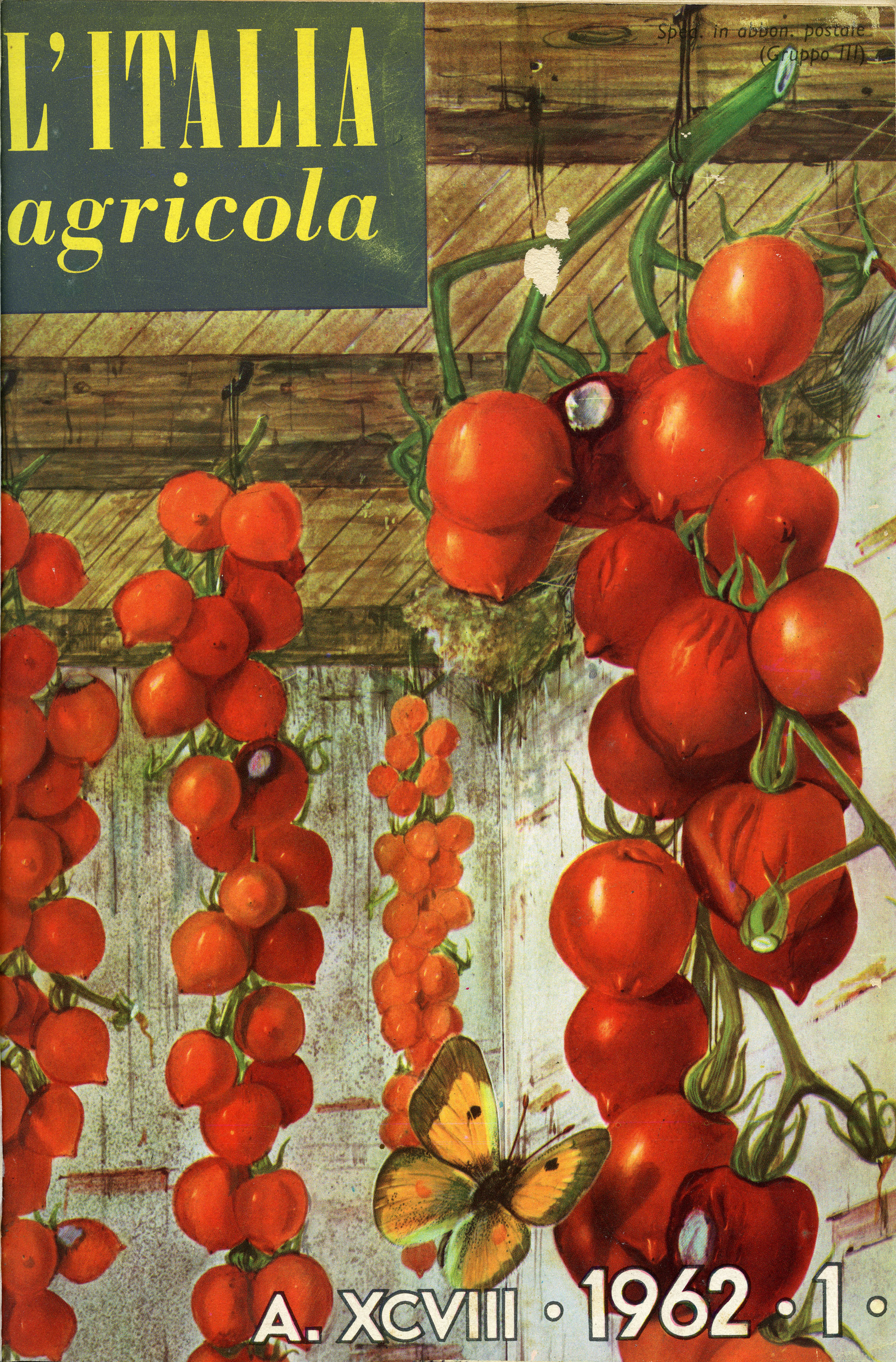 Italia Agricola 21.jpg