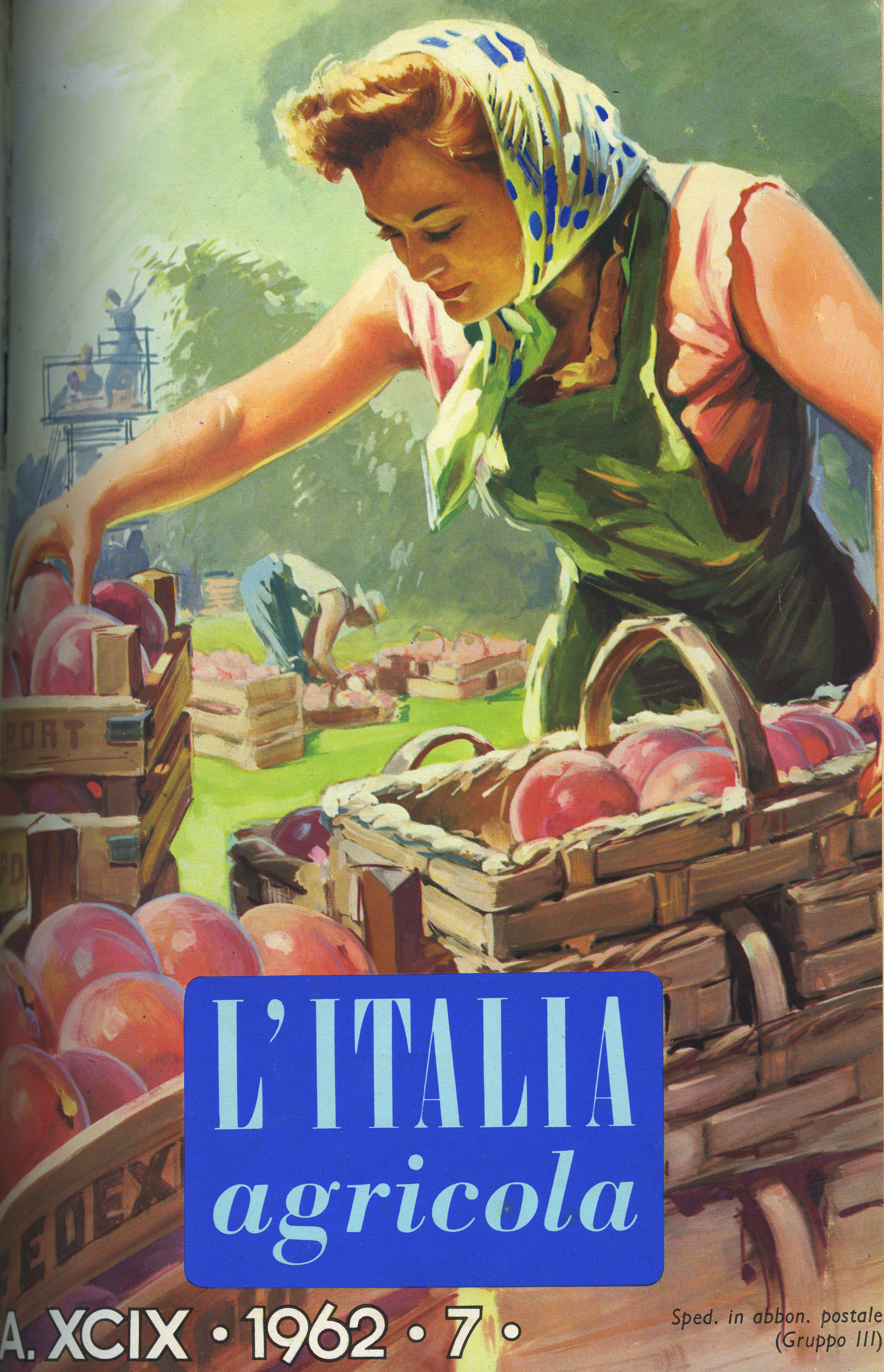 Italia Agricola 24.jpg