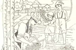 La cesta dell'ortolano piacentino