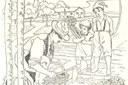 La cesta dell'ortolano piacentino