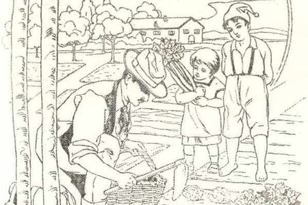 La cesta dell'ortolano piacentino